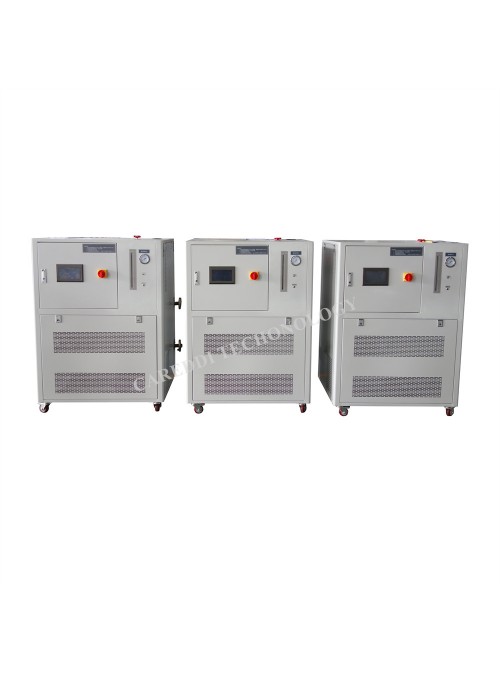 DLS-06EW / EX Model Low-Temperature Circulator High Performance